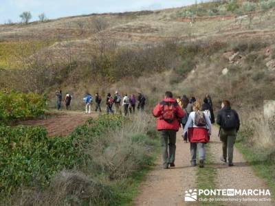 Enología en Rioja - Senderismo Camino de Santiago; senderismo en andalucia